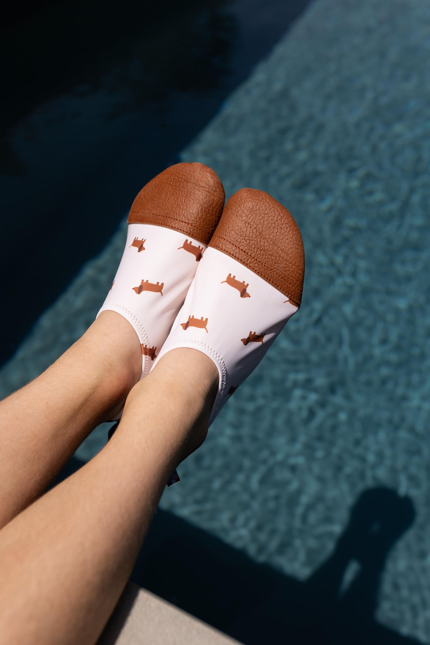 Les Petits Teckels - "All Terrain"