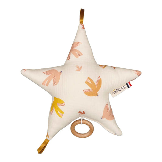 Star Musical Box - SWIFT