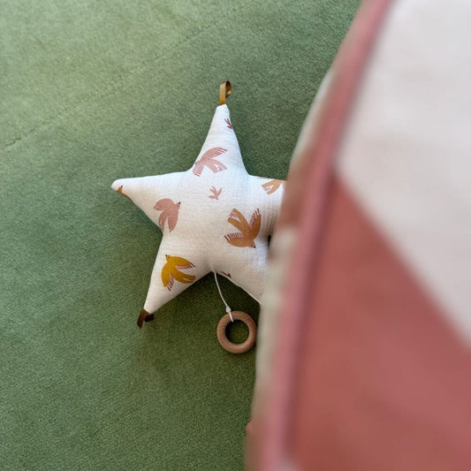 Star Musical Box - SWIFT